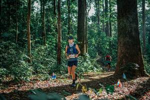 BIB: 
                            <button type="button" onclick="openModal(26130026)" class="btn btn-primary btn-sm float-right btn-popup" data-toggle="modal" data-target=".modal-high-quality">
                        <i class="fas fa-shopping-cart"></i> Add to Cart
                    </button>
                                            <button type="button" onclick="isThisMe(26130026, true)" class="btn btn-success btn-sm float-right btn-popup btn-isme hidden" data-toggle="tooltip" data-placement="bottom" title="นี่คือรูปของคุณใช่ไหม คลิกที่นี่เพื่อเอาเข้าอัลบั้ม">
                        <i class="fas fa-plus"></i> Add to album
                    </button>
                    <button type="button" onclick="isThisMe(26130026, false)" class="btn btn-warning btn-sm float-right btn-popup btn-isnotme hidden">
                        <i class="fas fa-ban"></i> Remove from album
                    </button>